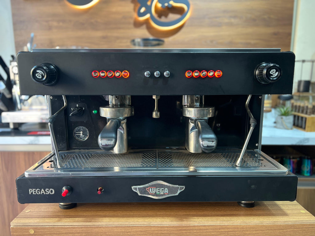 WEGA PEGASO EVD 2 GROUPES ( OCCASION )