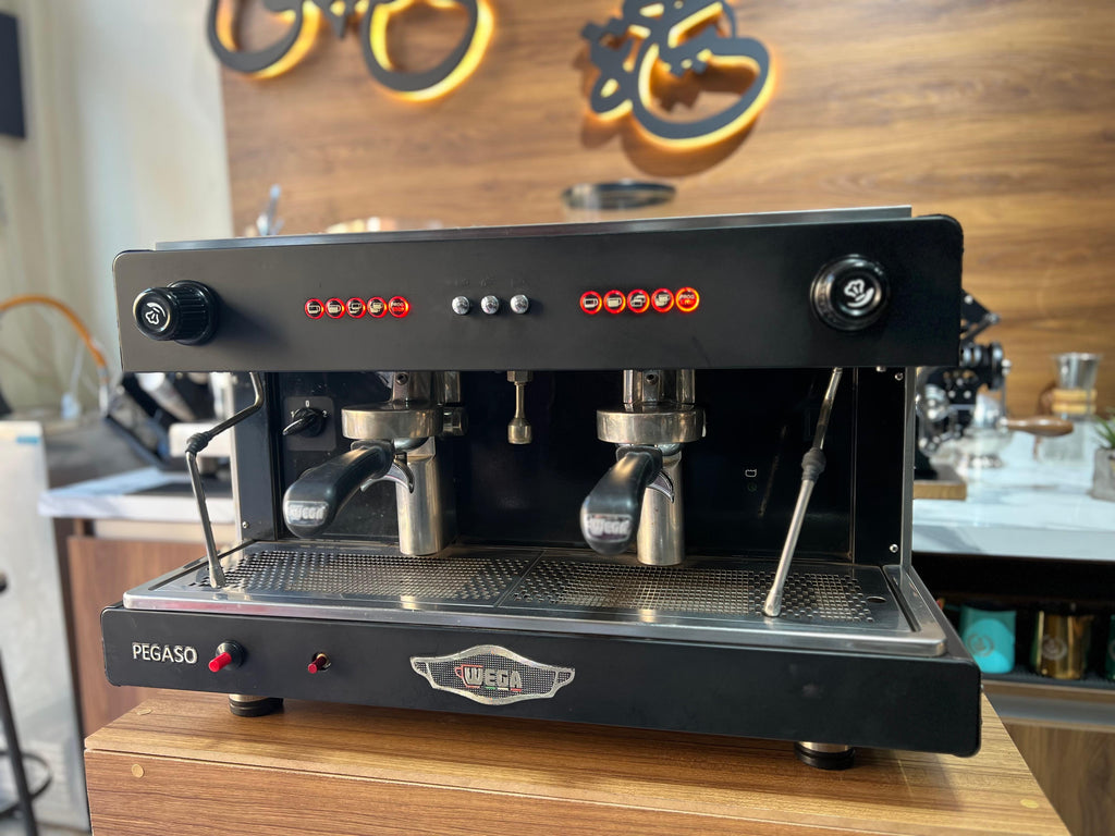 WEGA PEGASO EVD 2 GROUPES ( OCCASION )