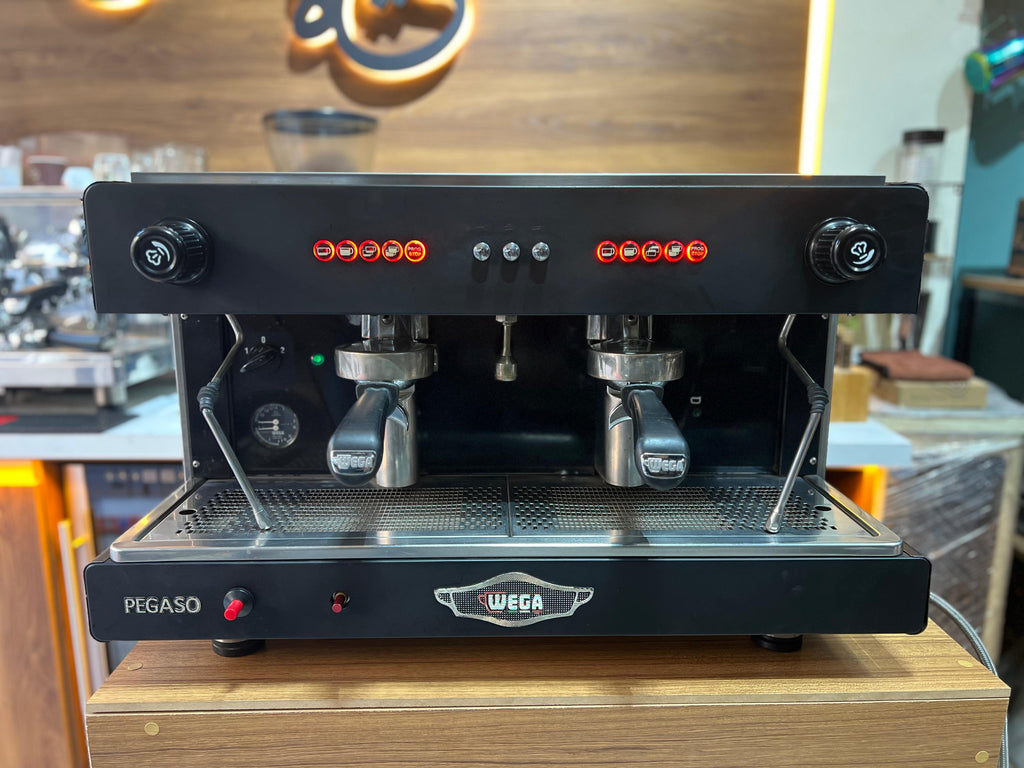 WEGA PEGASO EVD 2 GROUPES ( OCCASION )