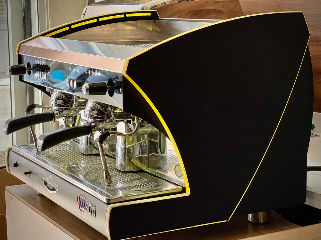 WEGA POLARIS EVD 2 GROUPES ( OCCASION )