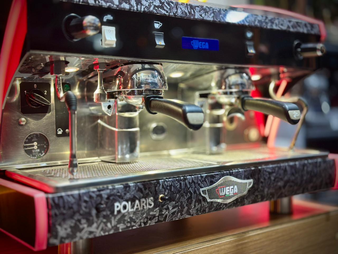 WEGA POLARIS EPU 2 GROUPES ( OCCASION )