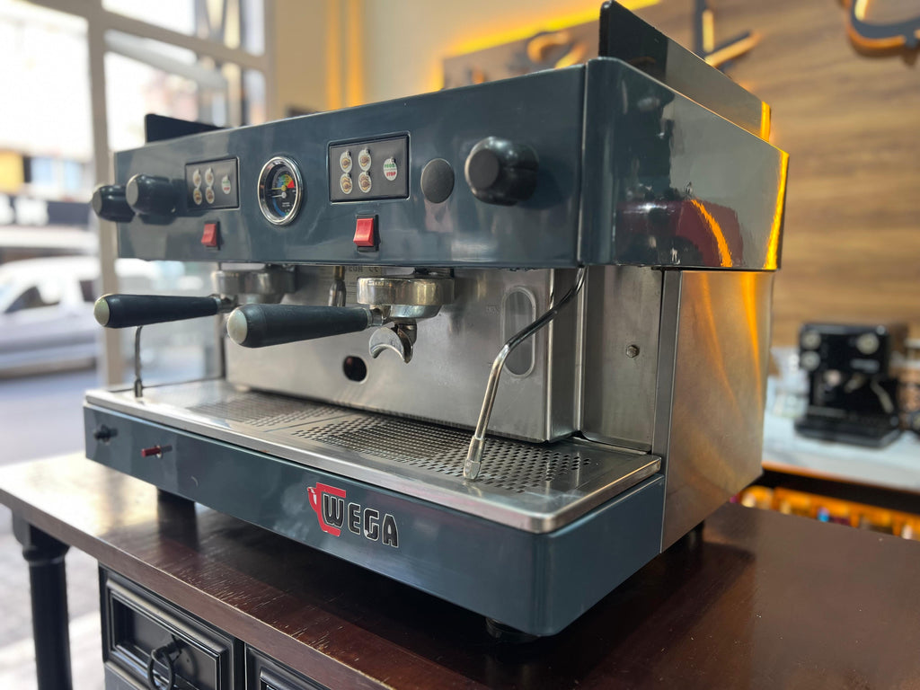 WEGA PEGASO EVD 2 GROUPES ( OCCASION )