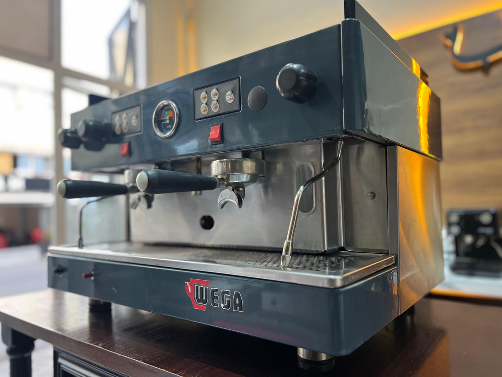 WEGA PEGASO EVD 2 GROUPES ( OCCASION )