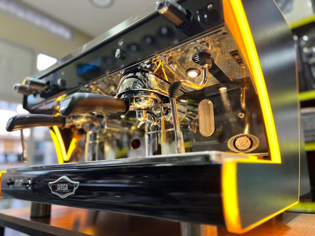 WEGA POLARIS EPU 2 GROUPES ( OCCASION )