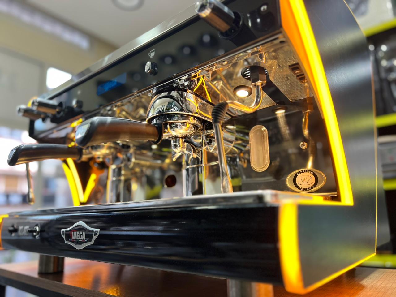 WEGA POLARIS EPU 2 GROUPES ( OCCASION )