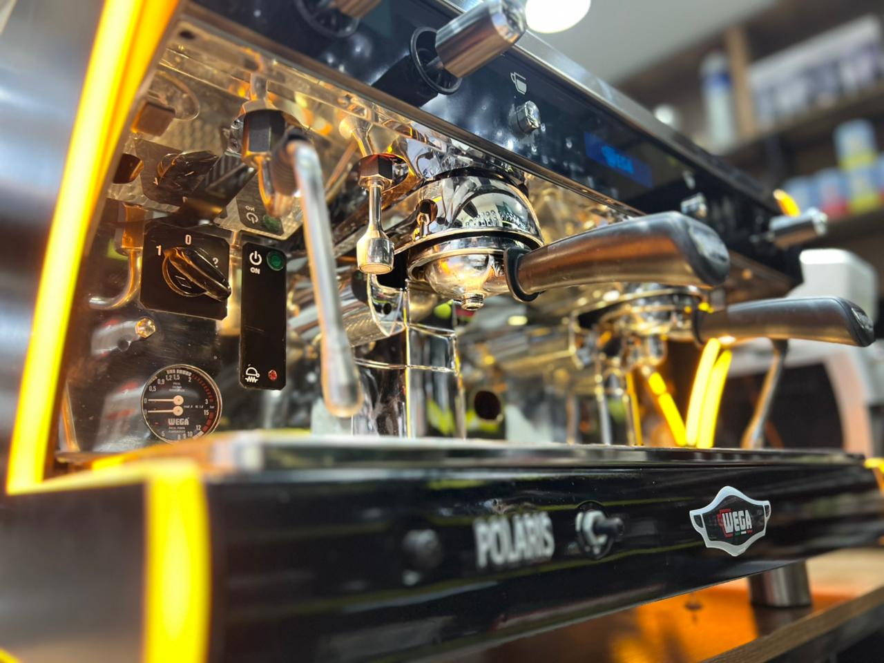 WEGA POLARIS EPU 2 GROUPES ( OCCASION )